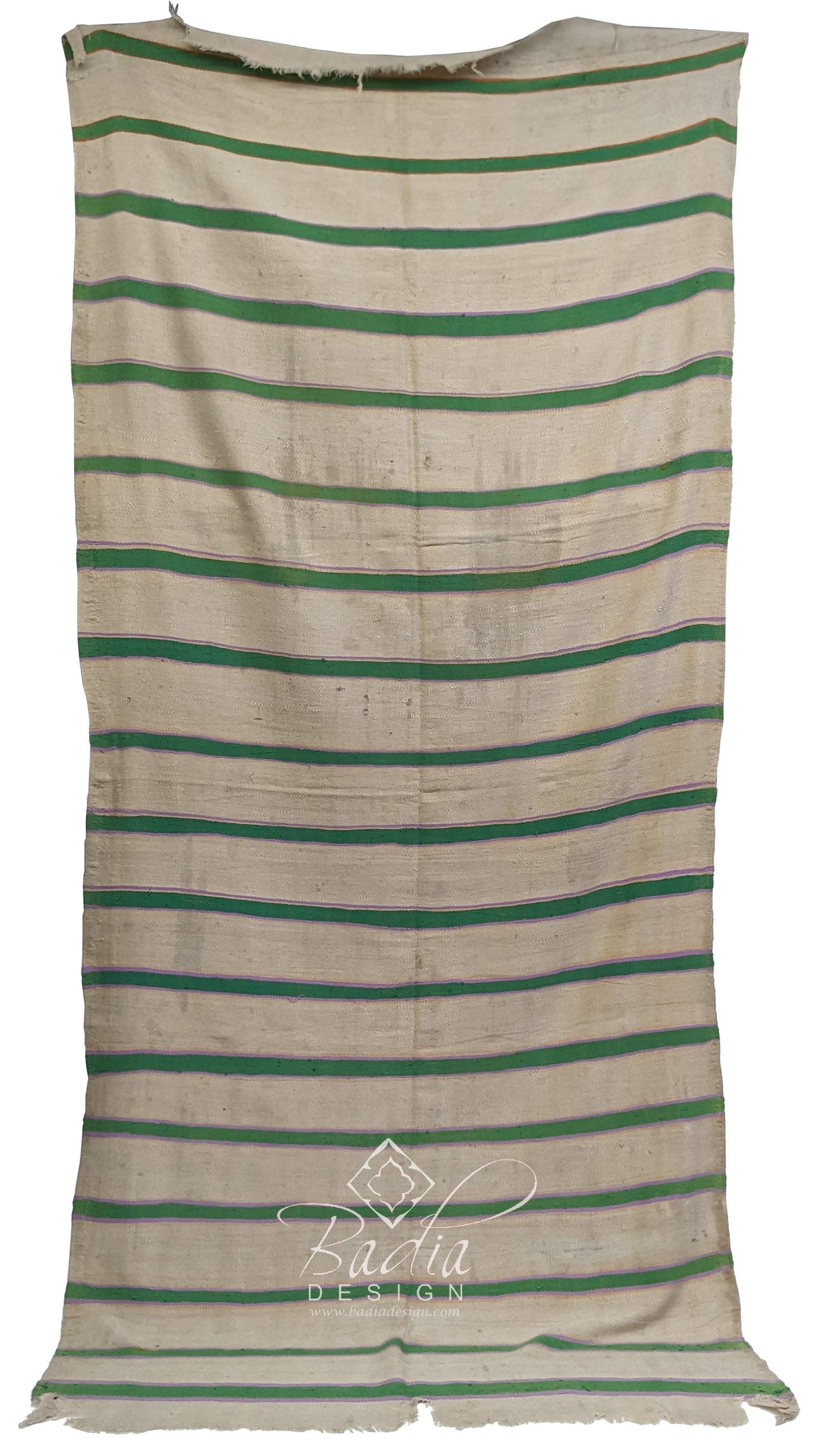 Moroccan Beige and Green Cactus Silk Rug