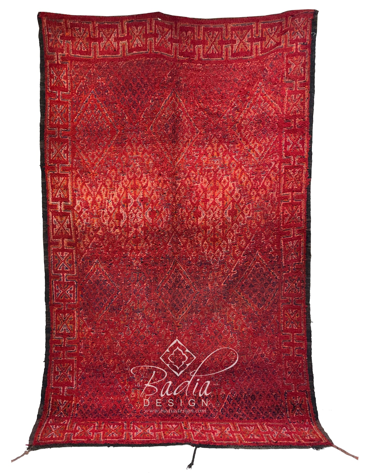 Red Vintage Multi-Patterned Rug