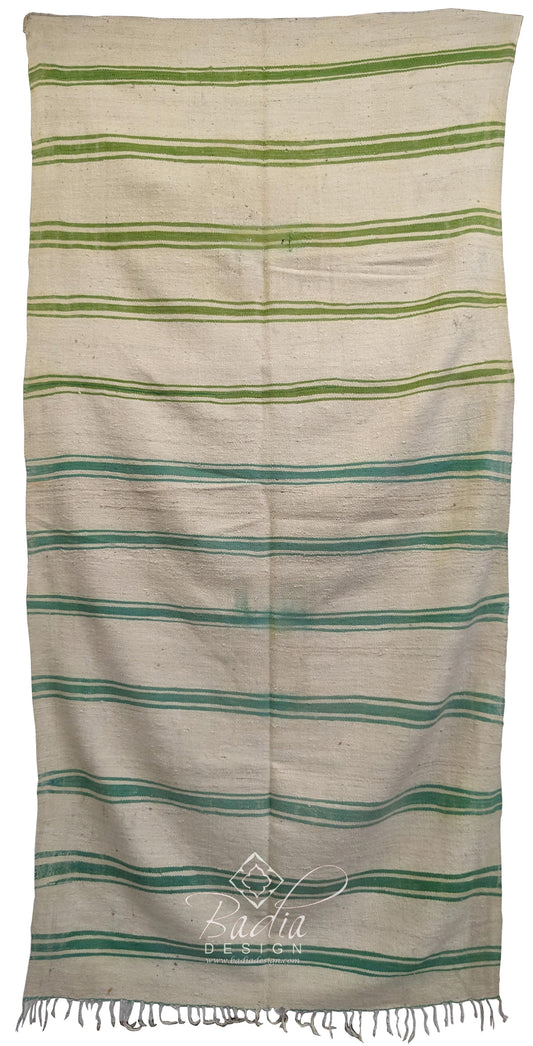 Moroccan Beige and Green Cactus Silk Rug
