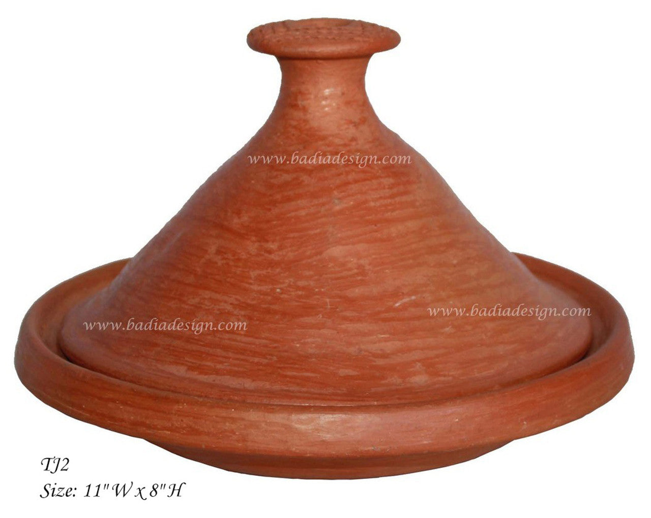 Culinary Moroccan Tajine